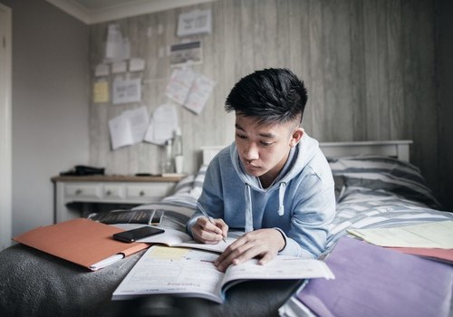 Adolescent Learning Styles